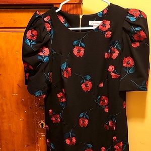 Calvin Klein Floral Black dress Red flowers sz 8